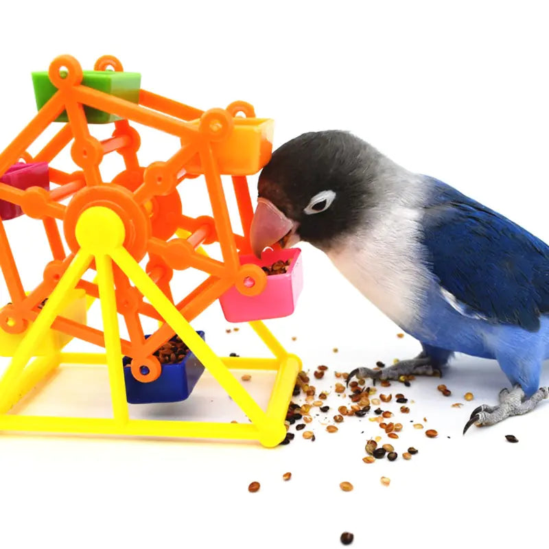 Colorful Parrot Foraging Toy for Intelligence Growth